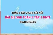 Bài 8.5 SGK Toán 6 tập 2 Kết nối tri thức